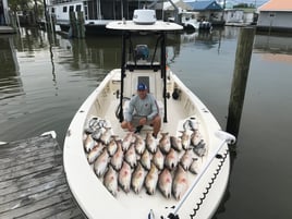 Full Day Inshore - 26' Blackjack