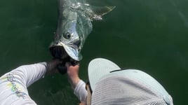 Nighttime Tarpon - 18’ Xplor