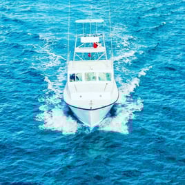 Bermuda Bluewater Excursion