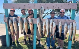 Aransas Pass Wade or Drift