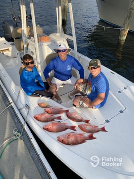 Shark Fishing - 22' Tidewater