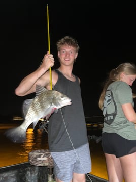 Orange Beach Bowfishing