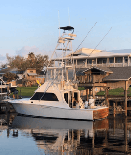 Orange Beach Bottom Fishing