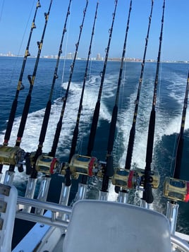 Orange Beach Trolling Adventure