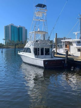 Orange Beach Trolling Adventure