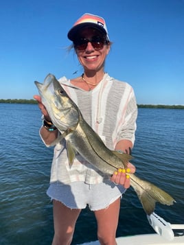 Florida Snook, Jacks, and Reds