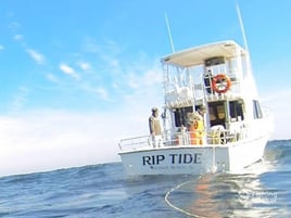 Epic Deep Sea Action