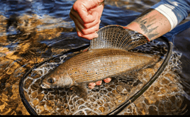 Naknek River Camp Deluxe Package