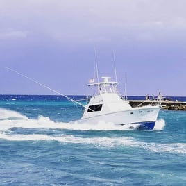 Miami Fishing Mayhem!