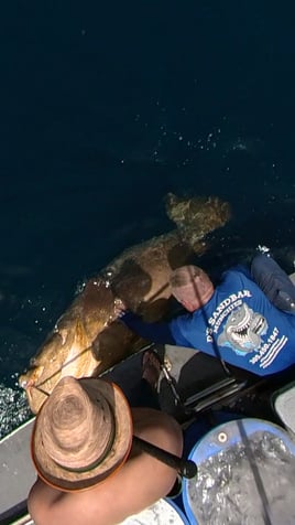 Extended Half Day Offshore Big Game Trip