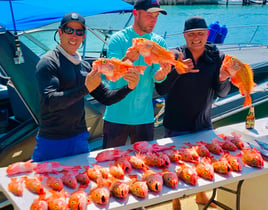 Deep Sea Deep Dropping for Black Belly Rosefish
