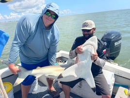 State Water Sharks & Jacks