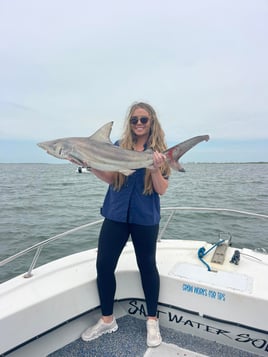 State Water Sharks & Jacks