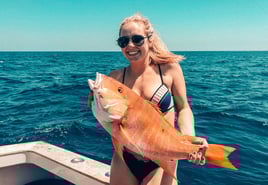 Marathon Premier Bottom Fishing