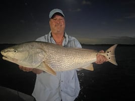 Inshore Bay and Flats Fishing