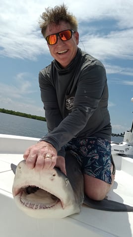 Shark Trip - 26' Sea Chaser