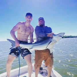 Shark Trip - 26' Sea Chaser