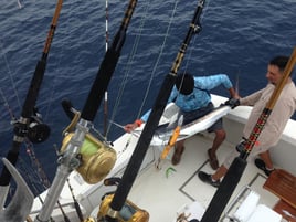 12 Hour Offshore Pelagics