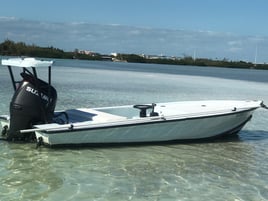 Evening Shark & Tarpon - 18' Hewes