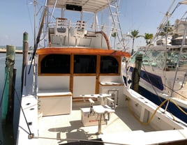 Extended Day Swordfish Chase