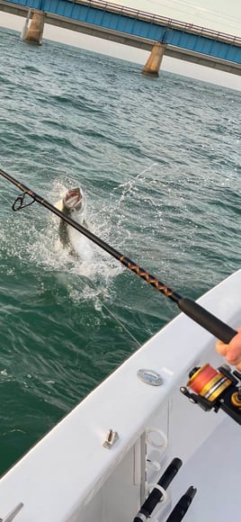 Marathon Tarpon Trip - 25' Custom