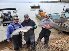Bardwell Lake Catfish Trip