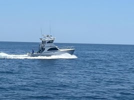 Destin Offshore Thrills