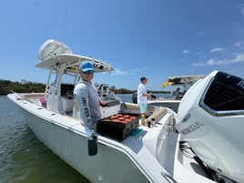 Big Fish in Fort Myers