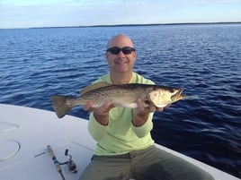 Fort Myers / Sanibel Inshore Action