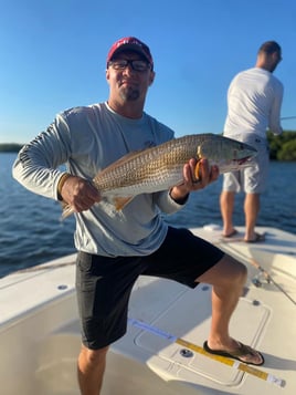 Bountiful Backwaters of Sarasota