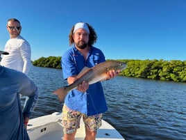 Bountiful Backwaters of Sarasota