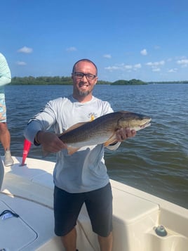 Bountiful Backwaters of Sarasota