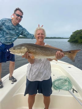 Bountiful Backwaters of Sarasota