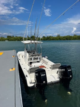 Extreme Offshore Trip - 26' Twin Vee