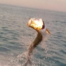 Tarpon Trip - 25’ Sea Born FX25