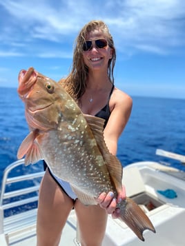 Sarasota Inshore/Nearshore