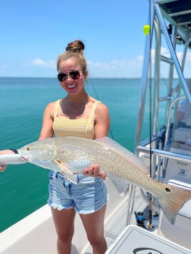 Sarasota Inshore/Nearshore