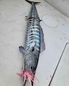 4-8 Hours Fishing Trip