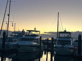 Chasing Tuna & Wahoo - 31’ Rampage