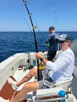 Half Day Shark Fishing Trip