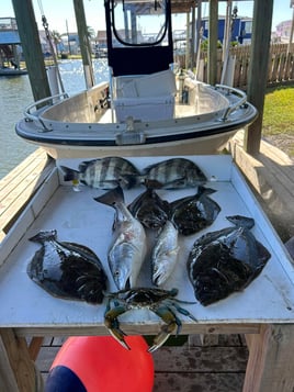 22' Boston Whaler Inshore / Jetty