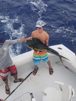 Half Day with Captain Scott