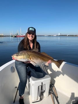 Half Day Inshore Fishing