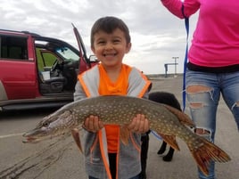 Morning/Afternoon Trip (6 hrs)