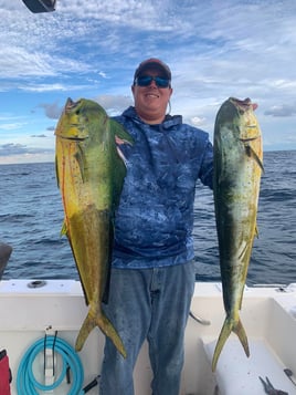 Full or Extended Day - 25’ SeaCat