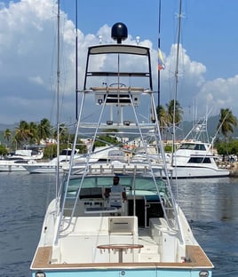 Punta Cana Luxury Trip