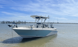 Half Day Charleston Adventure