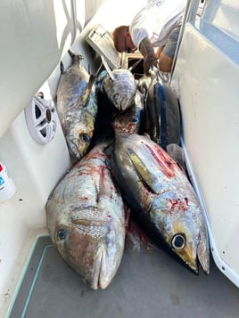 Deep Sea Grocery Store