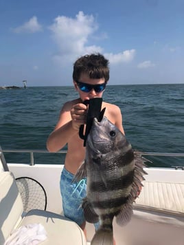 Sheepshead Fishing in Orange Beach, Alabama