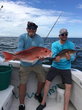 Mangrove Snapper, Red Snapper Fishing in Orange Beach, Alabama